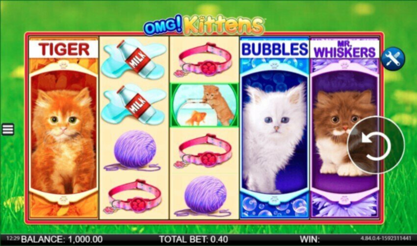 OMG Kittens Slot WMS