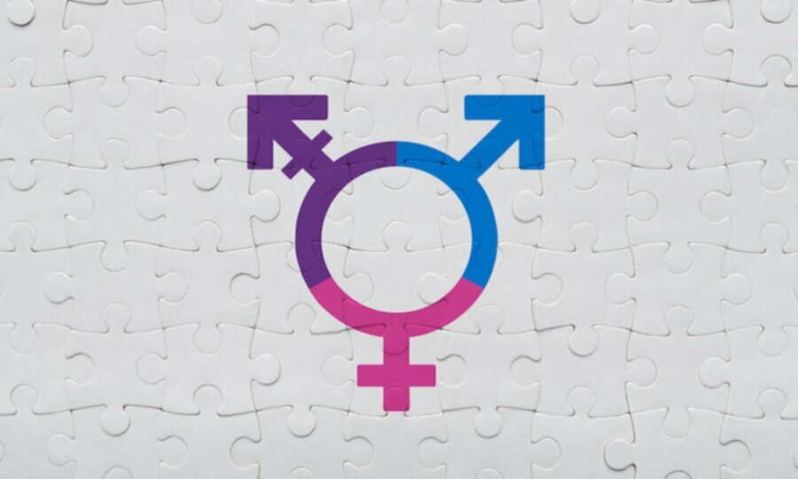 gender neutral puzzle, pink blue and purple gender rings connected