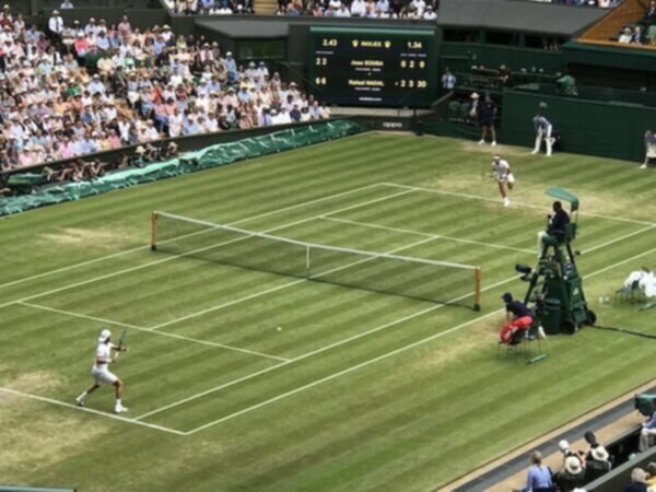 wimbledon grass court