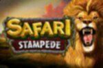 Safari Stampede