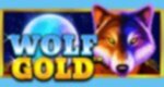 Wolf Gold